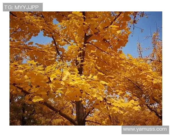 2018年中国男足与泰国队比赛结果回顾与分析