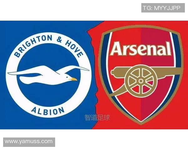 布赖顿与谢菲尔德星期三比赛前瞻分析及胜负预测 布赖顿与谢菲尔德星期三比赛前瞻分析及胜负预测